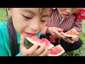 bumper harvest for dia and her children cooking dinner with her family.