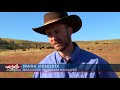 buffalo roundup behind the scenes