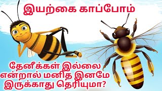 தேனீக்கள் இல்லை என்றால் இந்த உலகமே இருக்காது என்பது உங்களுக்கு தெரியுமா? Save Nature |Rajtecinfo