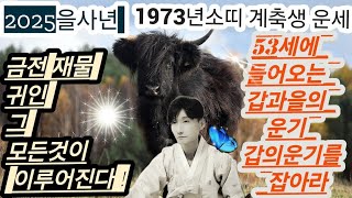 2025년을사년 1973년 계축생 소띠운세! 아주좋은 갑의 운기를 잡아라 .갑과을의 갈림길에서 갑의 운기를 잡을힌트를 드릴께요.  금전재물귀인 모든게 채워집니다. 음억감상은 보너스