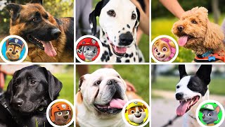 INCONTRIAMO I PAW PATROL NELLA VITA REALE per il Compleanno dei Cuccioli