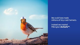 Pilkington 𝗔𝘃𝗶𝗦𝗮𝗳𝗲™ ‒ Glass designed to protect birds