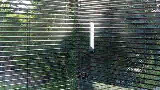 Motorised External Venetians - Somfy x SOM Blinds x Evaya