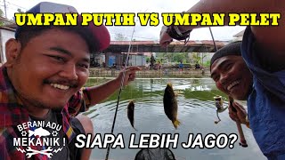 UMPAN PELET VS UMPAN PUTIH !! SIAPA LEBIH JAGO ??? #umpanikanmas #beraniadumekanik