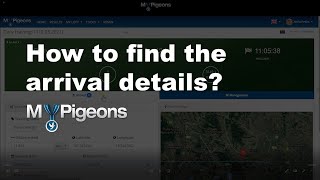 Where to find the arrival details in MyPigeons