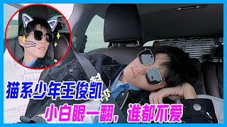 貓系少年王俊凱，董子健精準評價：小白眼一翻，誰都不愛。【恰好是少年 oh youth】