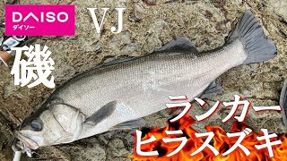 【シーバス】80オーバー!?ダイソーＶＪで地磯からランカーヒラスズキを釣った　鹿児島　釣り　（ランカーヒラスズキ編）