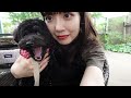 【vlog】愛犬と過ごす休日🌿 in代官山