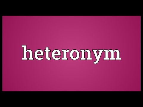 What does heteronym mean?