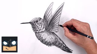 How To Draw a Hummingbird | YouTube Studio Sketch Tutorial