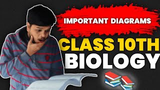 BOARD EXAM 2025 SECRET 🔥| Important Diagrams 😱 For Class 10th Biology 📚  | MentorJi