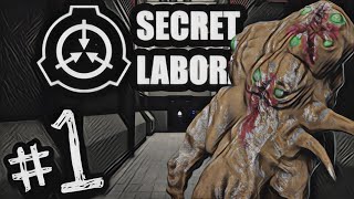 I'M SCARED AND I DON'T KNOW WHAT IM DOING! | #1 | SCP: Secret Laboratory Funny Moments