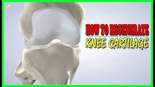 This Is How To Regenerate Your Knee Cartilage! | Best Home Remedies