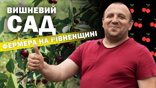 Виграв землю на аукціоні та посадив вишневий сад — бізнес на Рівненщині. Вадим Бортник | Я — Куркуль