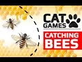 CAT GAMES - 🐝 CATCHING BEES (ENTERTAINMENT VIDEOS FOR CATS TO WATCH)