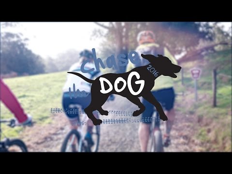 Chase the Dog 2016 Presented by BSS Chase the Dog 2016 Presented by BSS
