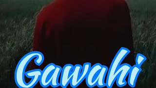 Gawahi || NEW SONG 🎶 2024