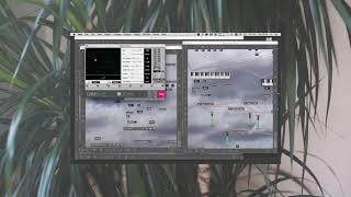 Manuel Guimarães - Kankyō Ongaku: generative music for insomniac beings (Max/MSP) [2021]