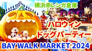 横浜ハロウィンドッグパーティー2024.10.13の様子！【犬イベント】【BAY WALK MARKET 2024】