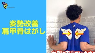 【誰でも簡単！】猫背を改善する肩甲骨はがし法！#shorts