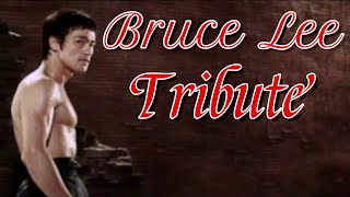 Bruce Lee Tribute by PVV TV