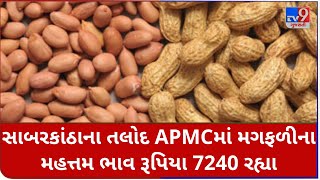 Mandi: સાબરકાંઠાના તલોદ APMCમાં મગફળીના મહત્તમ ભાવ રૂપિયા 7240 રહ્યા |Tv9News