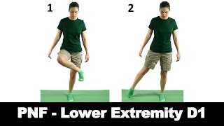 PNF Lower Extremity D1 - Ask Doctor Jo