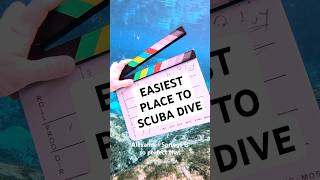 How to go Scuba Diving at Alexander Springs 🤿📍#scubadiving #floridasprings #scubalovers