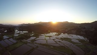 【日本の棚田百選】にも認定された四ヶ村の棚田 Japan's Top 100 Rice Terraces : Shikamura no tanada