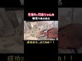 寝返り練習 赤ちゃんのいる生活 赤ちゃん 赤ちゃんのいる生活 baby 生後4ヵ月 寝返り newborn かわいい おもしろ 癒し 成長記録 babyboy vlog