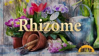 Rhizome – Garden Glossary