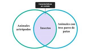 Sobre las concepciones - Nociones básicas de lógica (2/6)