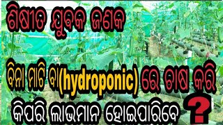 ଶିଷୀତ ଯୁବକ ଜଣକ ବିନା ମାଟି ବା hydroponic   ରେ ଚାଷ କରି କିପରି ଲାଭମାନ ହୋଇପାରିବେ?hydroponic Odisha !