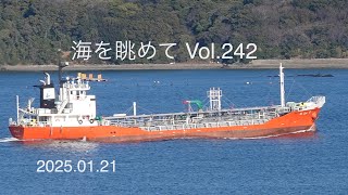 海を眺めて Vol.242