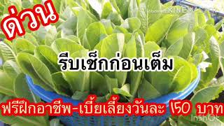 ฟรีฝึกอาชีพ-เบี้ยเลี้ยงวันละ 150 บาท จากผลกระทบโควิด-19