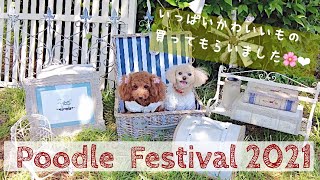 【犬イベント】プードルフェスティバル2021 に行ったらなぜか爆笑…。その訳は…？