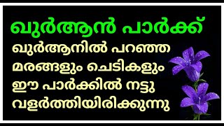 ഖുർആൻ പാർക്കിലൂടെ ഒരു സ്വപ്നസഞ്ചാരം. ഖുർആനിൽ പറഞ്ഞ മരങ്ങളെല്ലാം ഇവിടെ കാണാം (0553846923)