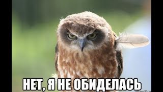 Как понять, что женщина обиделась? Поведение и фразы обиженной женщины. Сатья дас