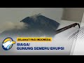 Gunung Semeru Kembali Erupsi, Warga Dilarang Beraktivitas 5 Km dari Kawah