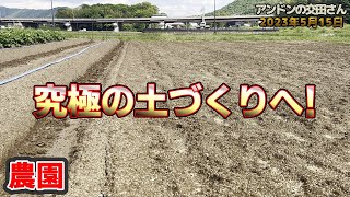 【家庭菜園・農業】なぜ畑に堆肥を入れないのか(END)？！ 究極の土作りを模索！  腐植酸資材でフカフカの土に！ 新品の種一袋、播種したほうれん草が全く出なかった！ 2023/05/15