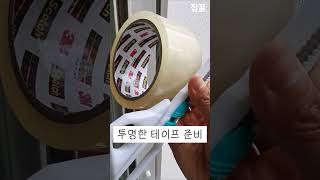 집안의 구멍 3개를 막으세요! 모기가 사라집니다. #모기퇴치 #꿀팁