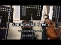 웨딩연주 마이미뉴엣 피아노 솔로 sentimental green 전수연 혼인서약 서울대학교 호암교수회관