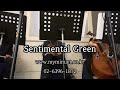 웨딩연주 마이미뉴엣 피아노 솔로 sentimental green 전수연 혼인서약 서울대학교 호암교수회관