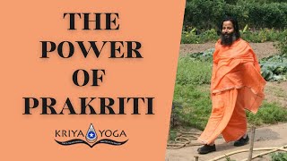 The Power of Prakriti