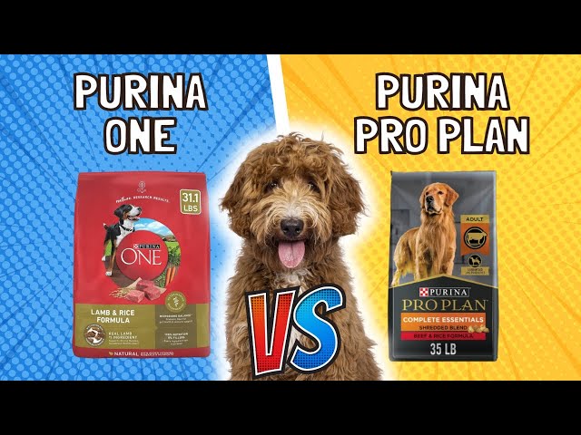The Ultimate Nutrition For Your Large Breed Puppy Purina One Large
