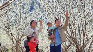 Spring Smile: Single mother Ly Dao Hoa and Duc create beautiful memories together during Tet