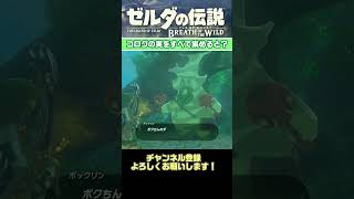 【ゼルダの伝説 ブレスオブザワイルド】コログの実を全て集めると？ #shorts #縦型配信