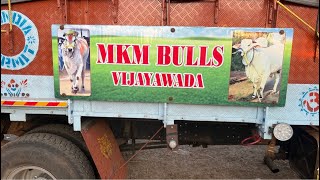 MKM BULLS మేక కృష్ణమోహన్ గారు ఘంటసాల