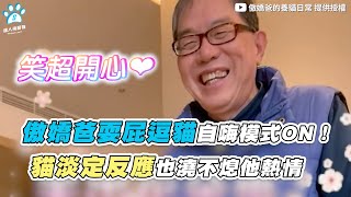 【 傲嬌爸耍屁逗貓自嗨模式ON！ 貓淡定反應也澆不熄他熱情  】｜@unicatto