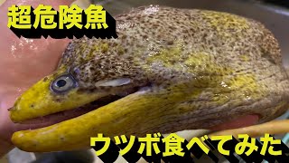 海のギャング　ウツボに指噛まれちゃった